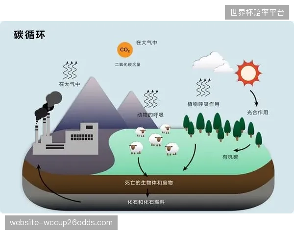后化纤时代”来临：生物基材料与碳捕捉纤维将成为头部体育品牌研发投入的主攻方向